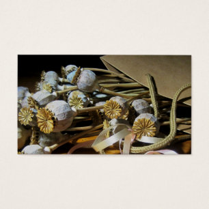 Cartes De Visite Cosses sèches de pavot de fleur