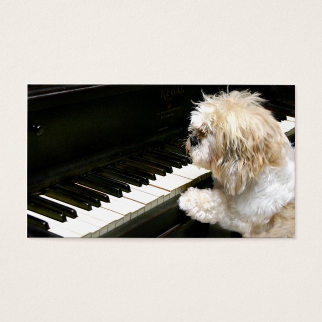Cartes De Visite Cours de piano Shih Tzu (Devant)