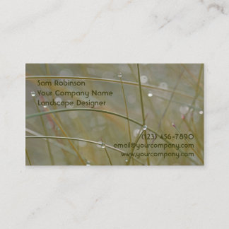 Cartes de visite couverts de rosée de paysage ou