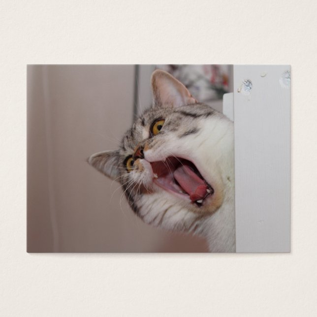 Cartes De Visite Criant British Shorthair (Devant)