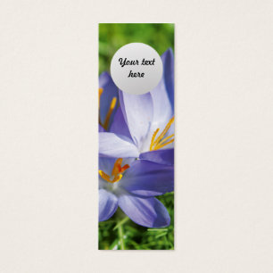 Cartes De Visite Crocus