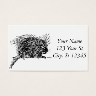 Cartes De Visite Cute Bristly Hedgehog Thunder_Cove