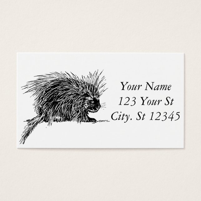 Cartes De Visite Cute Bristly Hedgehog Thunder_Cove (Devant)