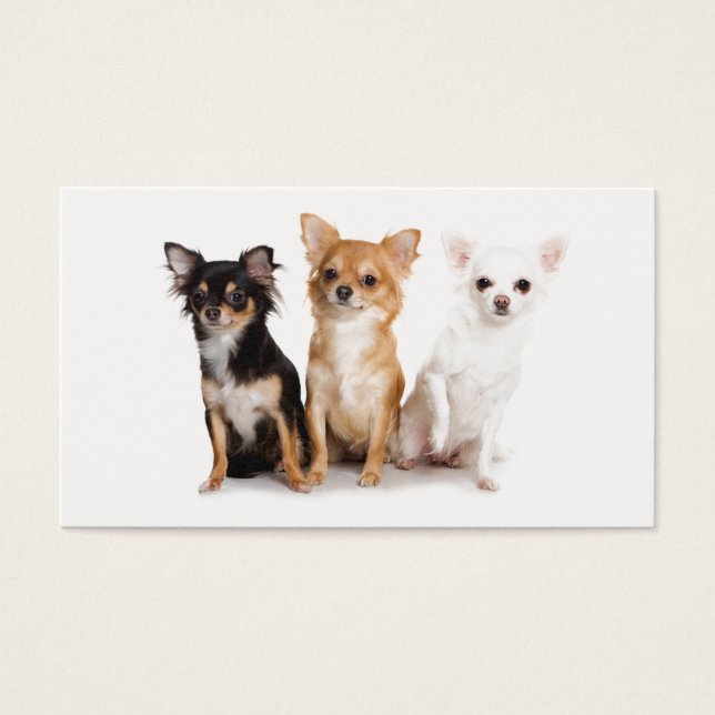 Cartes De Visite Cute cheveux longs Chihuahua Puppes (Devant)