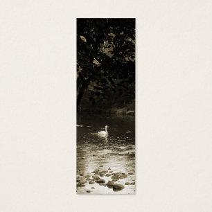 Cartes De Visite Cygne sur le signet de rivière