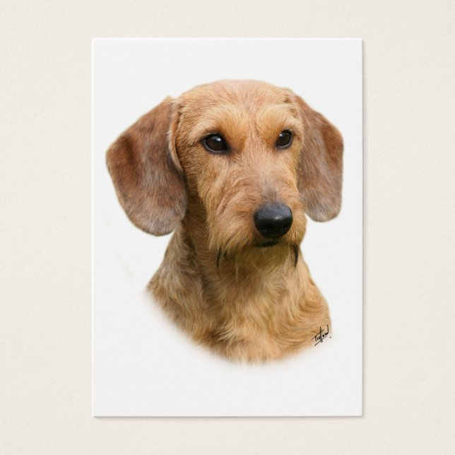 Cartes De Visite Dachshund 9Y426D-207-2 (Devant)