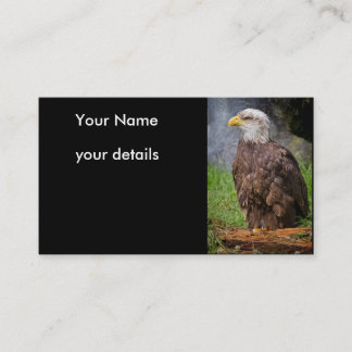 cartes de visite d'aigle chauve