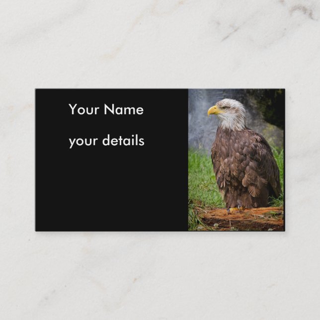 cartes de visite d'aigle chauve (Devant)