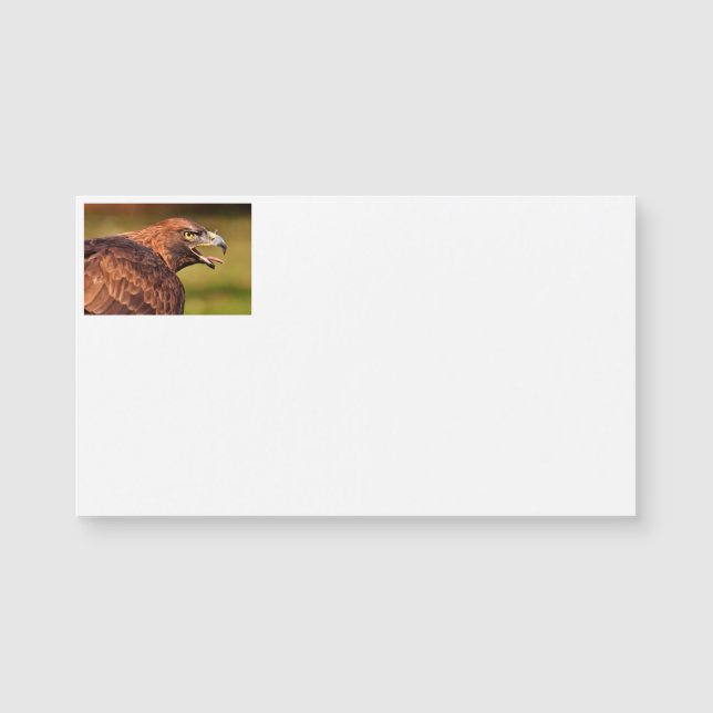Cartes de visite d'aigle sauvage (Devant)