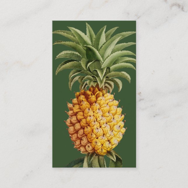 Cartes de visite d'ananas - Botanique Vintage (Devant)
