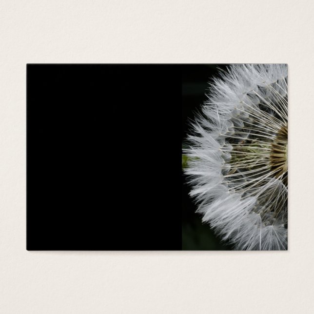 Cartes De Visite Dandelion (Devant)