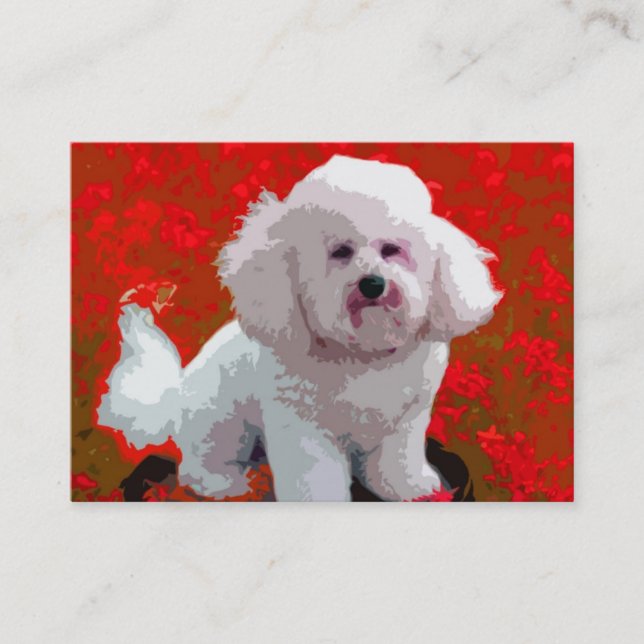 Cartes de visite d'art de bruit de Bichon Frise (Devant)