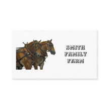 Cartes de visite d'attelage de chevaux de trait be