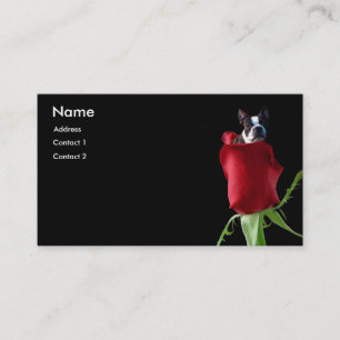 Cartes de visite de Boston Terrier de rose rouge