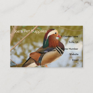 Cartes de visite de canard de mandarine