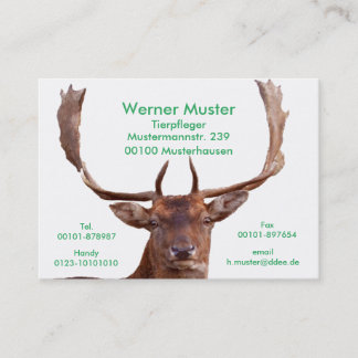 Cartes de visite de cerf