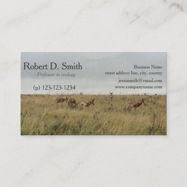 Cartes de visite de cerfs animaux sauvages africai (Devant)
