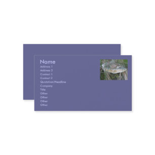Cartes de visite de champignons Sandbank