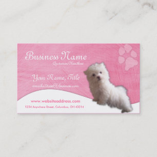 Cartes de visite de chien : : Chiot maltais