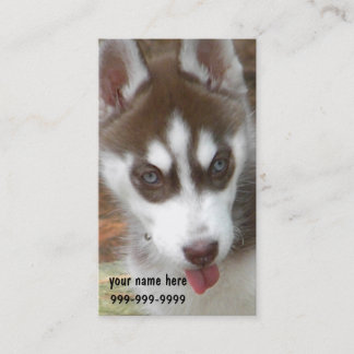 Cartes de visite de chiot de chien de traîneau