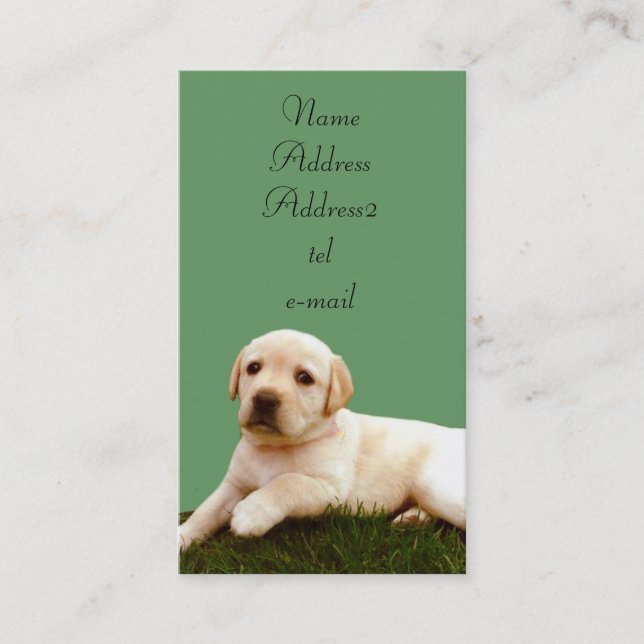 Cartes de visite de chiot de Labrador (Devant)