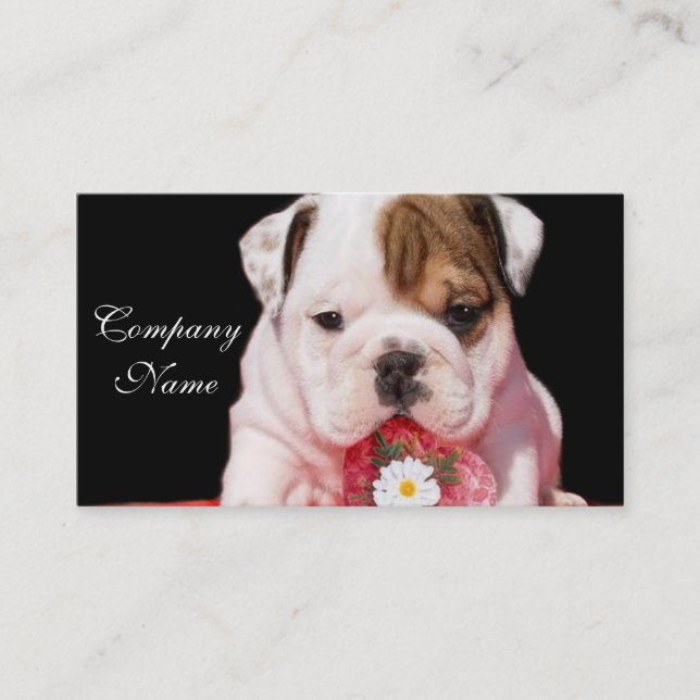 Cartes de visite de chiot du bouledogue de (Devant)