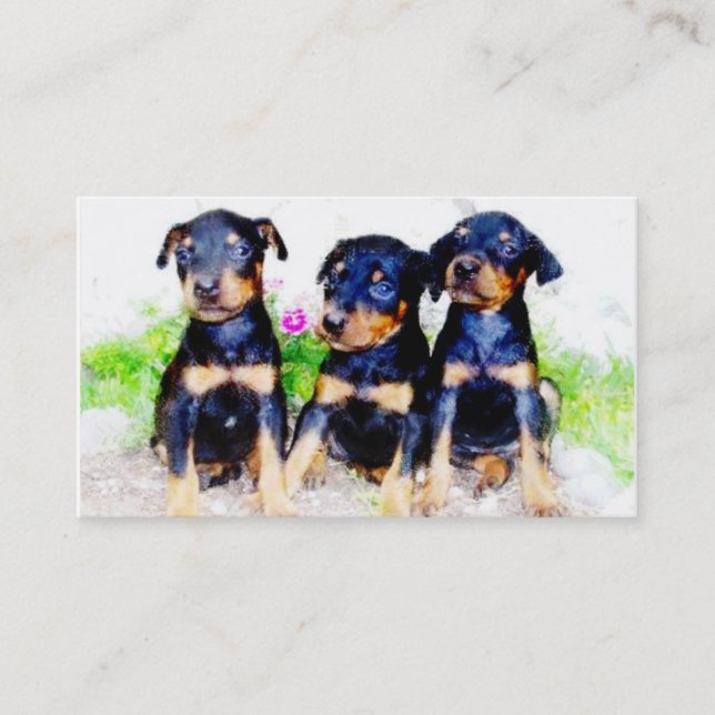 Cartes de visite de chiots de dobermann (Devant)