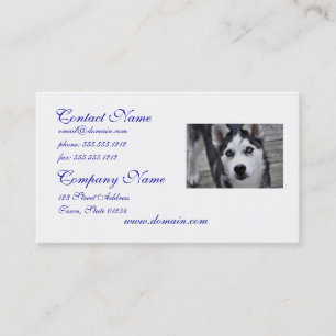 Cartes de visite de chiots husky