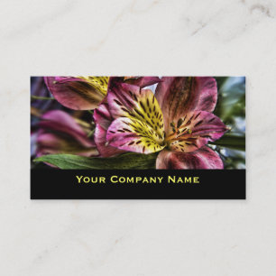 Cartes de visite de coutume de fleur de lis
