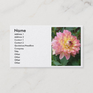cartes de visite de dahlia