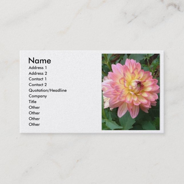 cartes de visite de dahlia (Devant)
