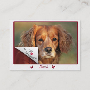 Cartes de visite de Dinah