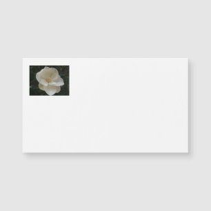 Cartes de visite de fleur de magnolia