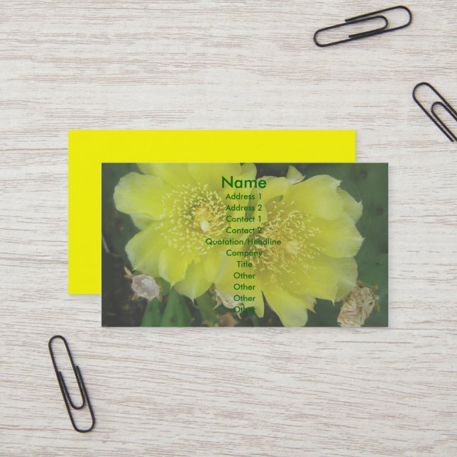 Cartes de visite de fleurs de poires (Devant/Arrière en situation)