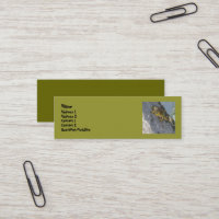 Cartes de visite de grenouille