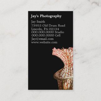 Cartes de visite de la photographie florale