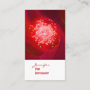 cartes de visite de la Red Rose