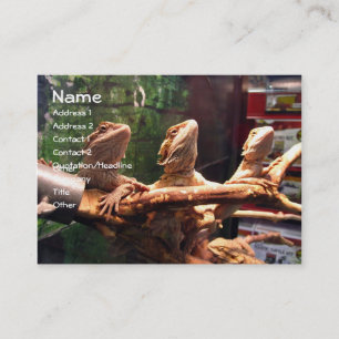 Cartes de visite de Leezerds