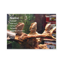 Cartes de visite de Leezerds