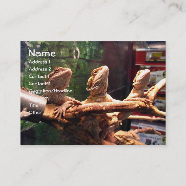 Cartes de visite de Leezerds (Devant)