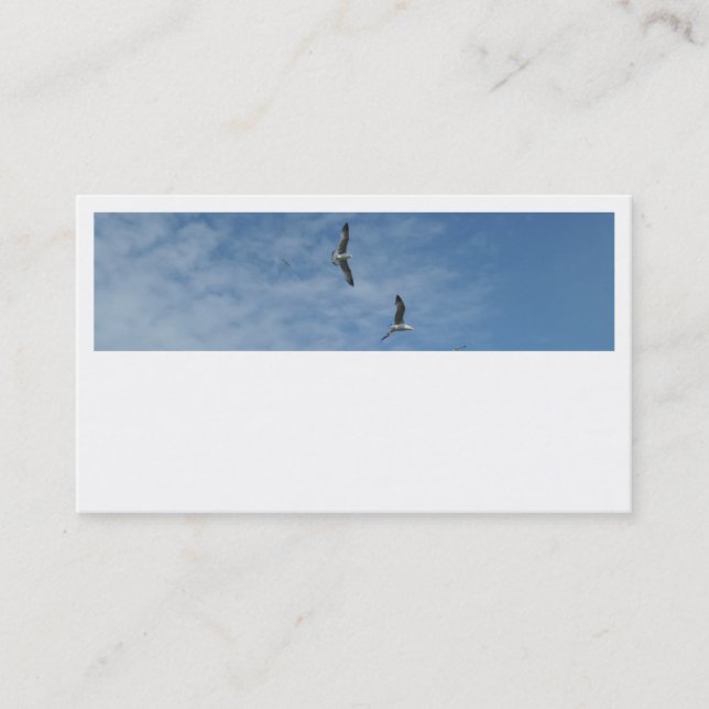Cartes de visite de mouettes volantes (Devant)