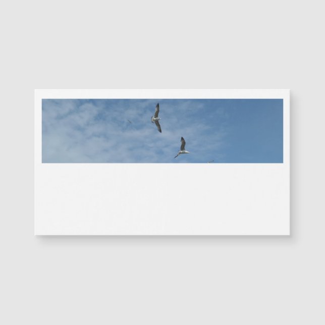 Cartes de visite de mouettes volantes (Devant)