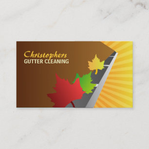 Cartes de visite de nettoyage de gouttière