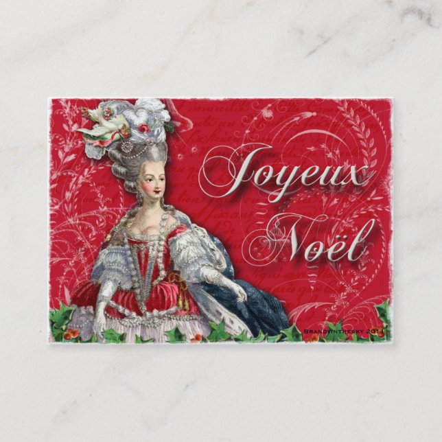 Cartes de visite de Noel de Noël de Marie (Devant)