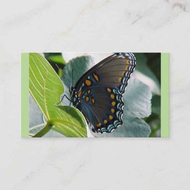 Cartes de visite de papillon (Devant)