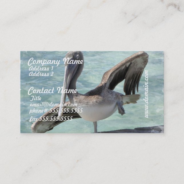 Cartes de visite de pélican (Devant)