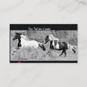 Cartes de visite de Pinto