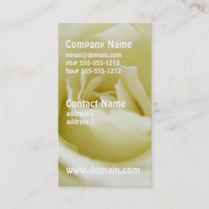 Cartes de visite de rose blanc