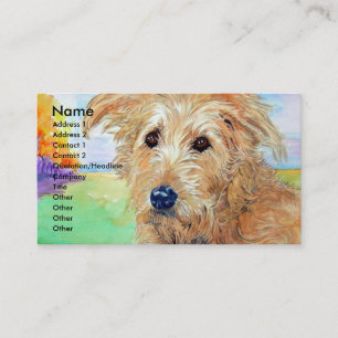 Cartes de visite de Sandy