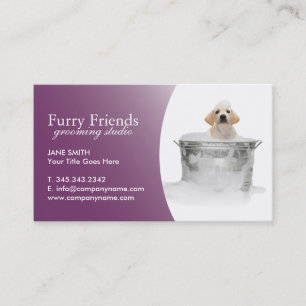 Cartes de visite de soin des animaux familiers